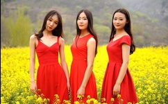 男男车车好快的车车有点污的网站